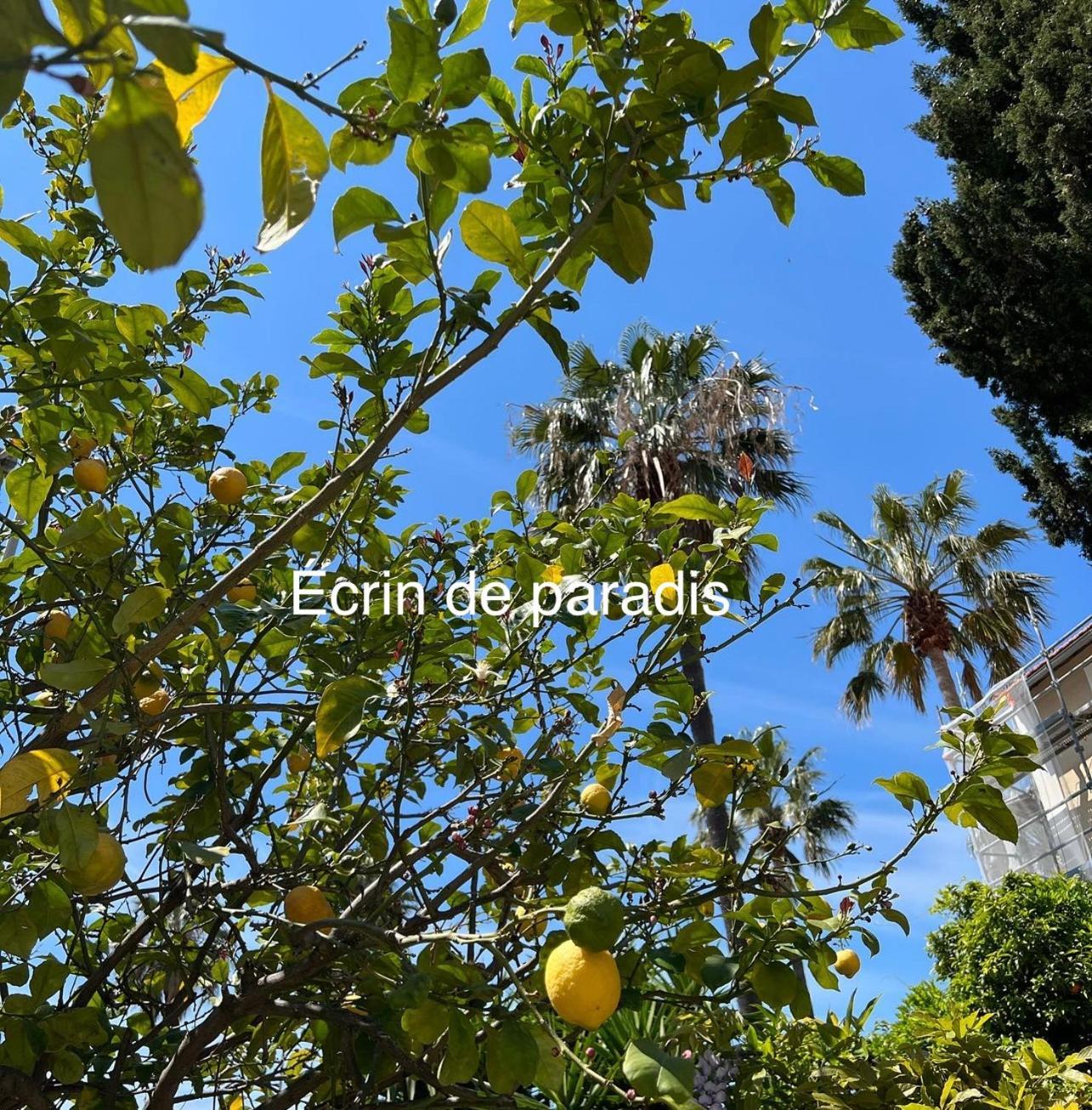 Casa Andrea Appartement Tout A Pied Avec Grand Jardin Sanary-sur-Mer Eksteriør bilde